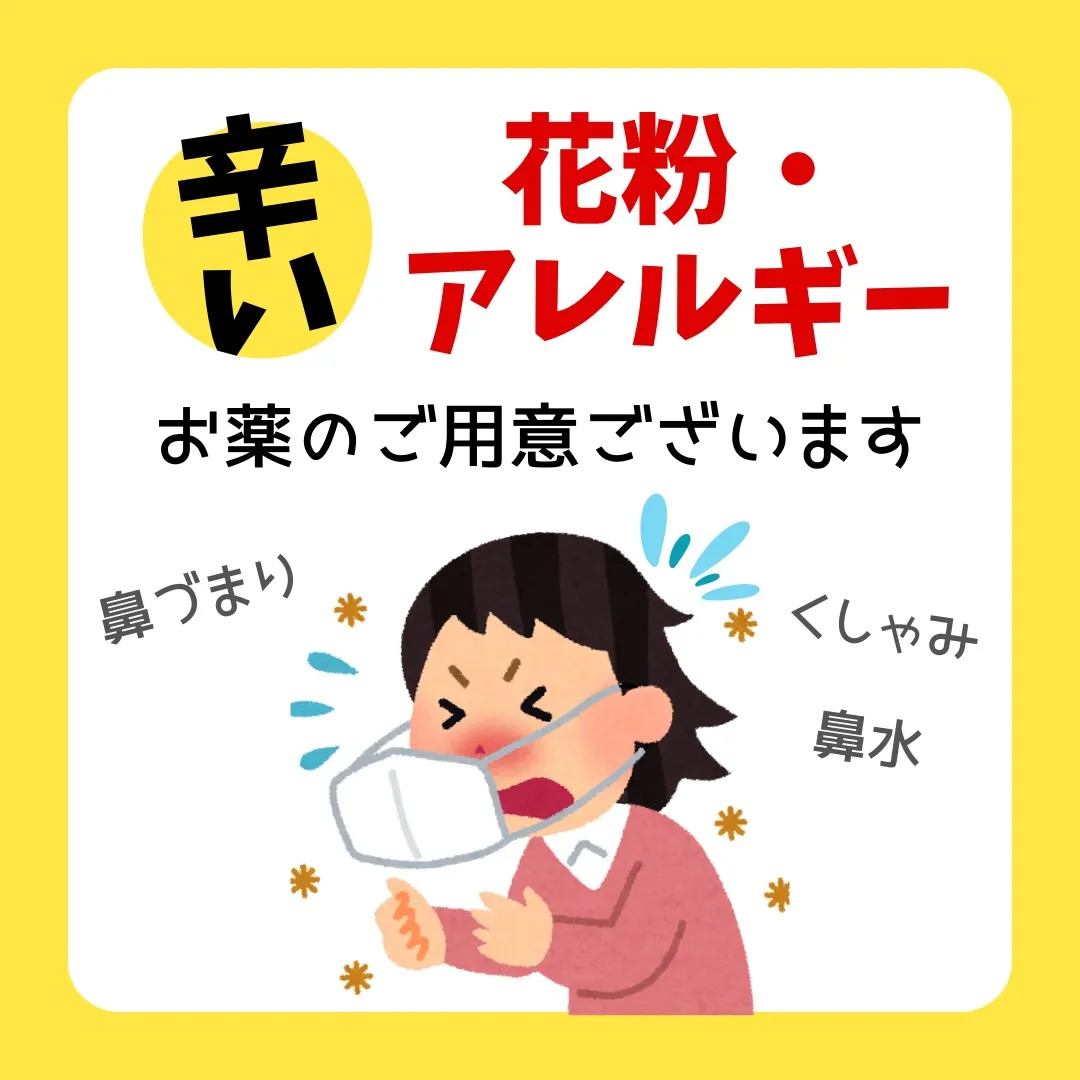 花粉・アレルギーの季節🌿